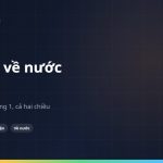 Furusato nozei khi về nước: quy tắc ngày 1 tháng 1 và bẫy one-stop