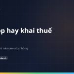 One-stop hay tự khai thuế: chọn đường nào cho furusato nozei